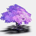 Vibrant Purple Tree With Thick Trunk And Dense Gradient Colored Crown
