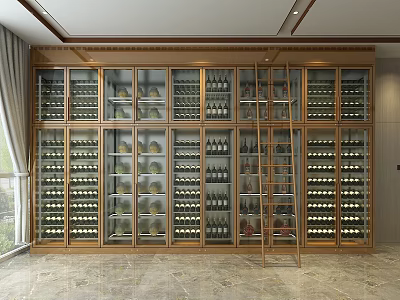 Luxurious Wine Cellar Interior Design With Wooden Racks Wine Bottles And Ladder 3d model