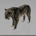 Leopard 3D Rendered Model With Spotted Fur And White Paws Standing On Dark Background 3d model