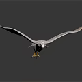 White Eagle Flying With Spread Wings And Yellow Talons Against Gray Background 3d model