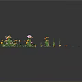 Aquatic Plants with Yellow and White Flowers Green Floating Leaves and Slender Stems