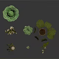 Indoor Potted Plants Collection With Monstera Succulents Hanging Flowers And Wooden Stand