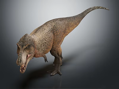 Modern Dinosaur Tyrannosaurus Rex cartoon 3d model