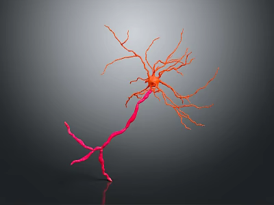 Advanced Medical Device For 3D Neuron Structure Visualization In Neuroscience Research 3d model