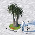 Twin Trunk Arbor on Circular Green Lawn with 1.5m Diameter 1.83m Height Beside Human Figure