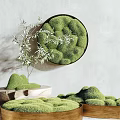 Indoor Bonsai Plant Decoration With Green Moss Circular Design And Wooden Containers