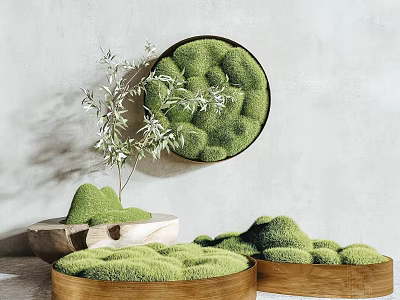 Indoor Bonsai Plant Decoration With Green Moss Circular Design And Wooden Containers 3d model