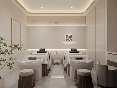 SPA Sauna Room With White Interior Relaxing Treatment Beds And Green Plant 3d model