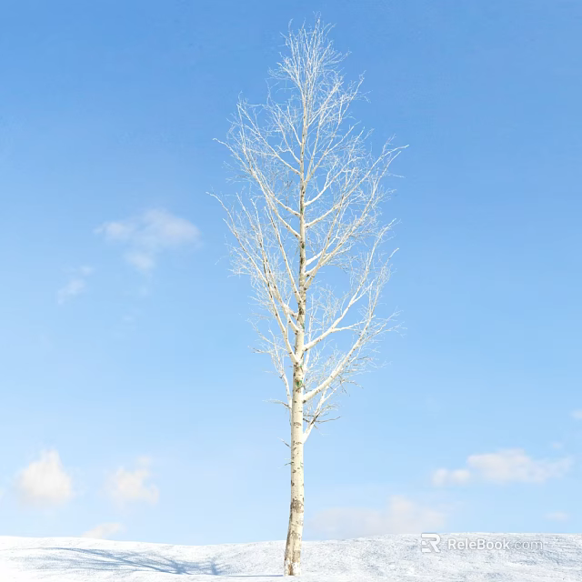 Leafless Tree with Straight Trunk Against Blue Sky and White Clouds 3d model