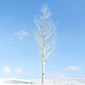 Leafless Tree with Straight Trunk Against Blue Sky and White Clouds 3d model