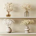 Decorative Vases With White Flowers On Shelves Various Design Styles