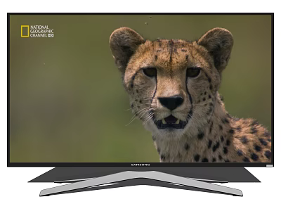 Samsung Modern Television with Silver Base Displaying National Geographic Cheetah 3d model