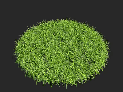 Lush Green Grass in Round Shape with Soft Vibrant Fresh Texture 3d model