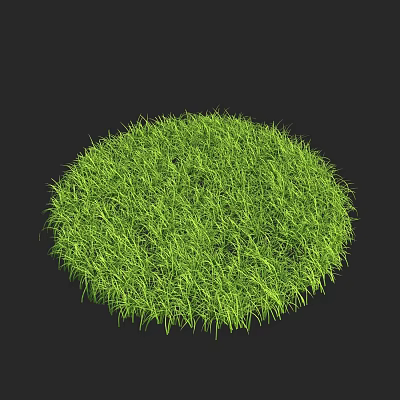 Lush Green Grass in Round Shape with Soft Vibrant Fresh Texture 3d model