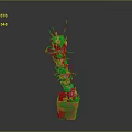Red Potted Cactus Plant With Green Segmented Stems And Sharp Spines On Dark Background