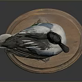 Taxidermy Duck with Colorful Feathers Black Head and Orange Feet on Wooden Base