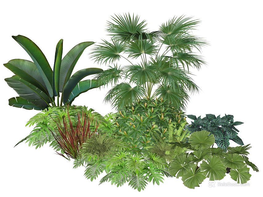 Assorted Green Plant Combination With Various Leaf Shapes And Tropical Foliage 3d model 