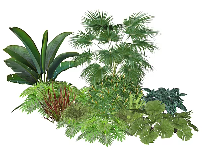 Assorted Green Plant Combination With Various Leaf Shapes And Tropical Foliage 3d model