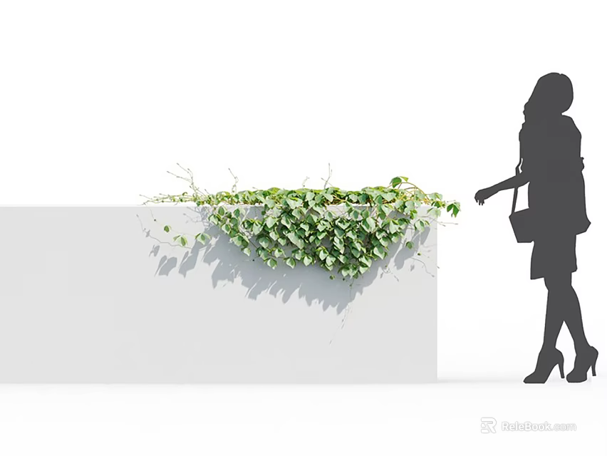Lush Green Vines Growing on White Wall Beside Woman Silhouette 3d model 