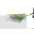 Lush Green Vines Growing on White Wall Beside Woman Silhouette