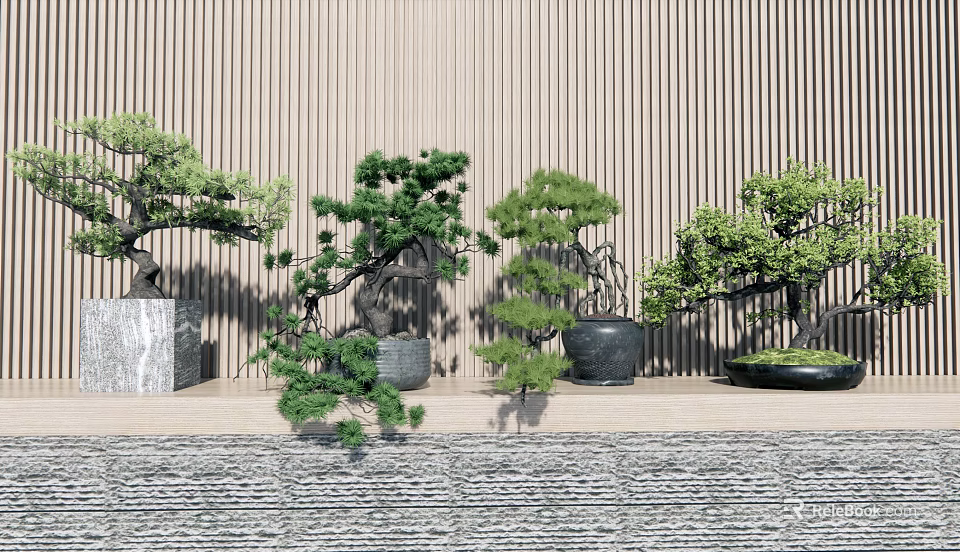 Multiple Bonsai Trees With Different Shapes And Pots Against Wooden Wall 3d model 