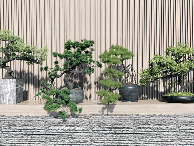 Multiple Bonsai Trees With Different Shapes And Pots Against Wooden Wall 3d model