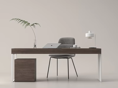 Desk and chair combination 3d model