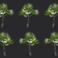 Palm Trees Arranged In Grid With Green Fan Shaped Leaves And Textured Trunks