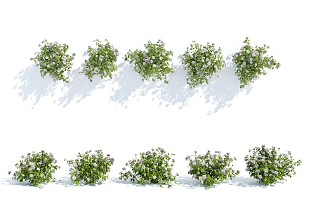 Modern plants, shrubs, flowers and plants 3d model