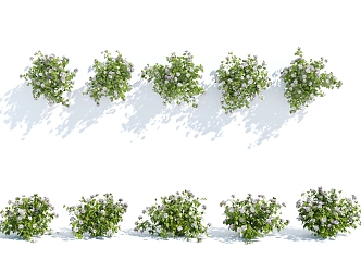 Modern plants, shrubs, flowers and plants 3d model