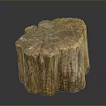 Unique Petrified Wood Stump Decor With Natural Texture For Home
