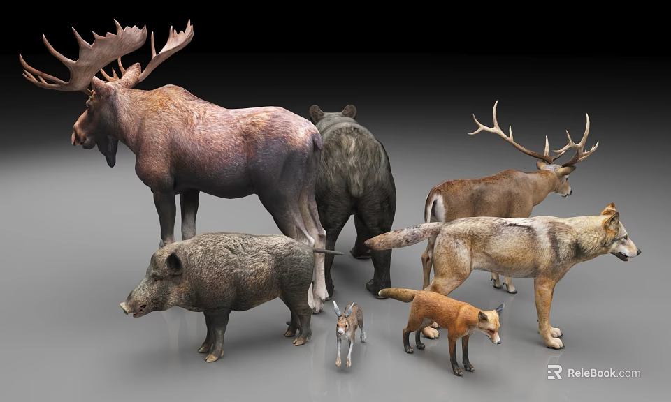 Various Reptile Species Showcasing Lizards Snakes And Turtles In Natural Setting 3d model 