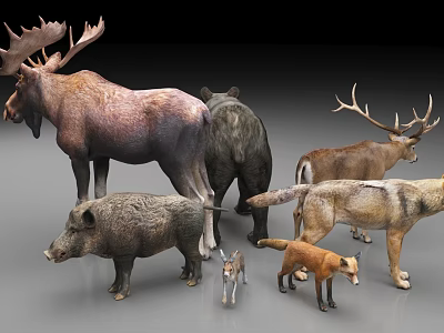 Various Reptile Species Showcasing Lizards Snakes And Turtles In Natural Setting 3d model