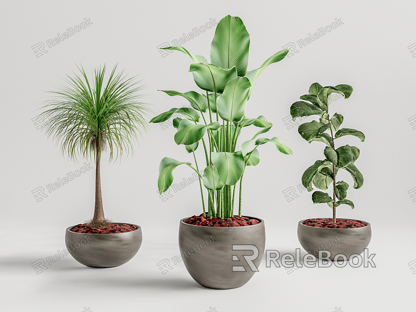 Modern Potted Plant model