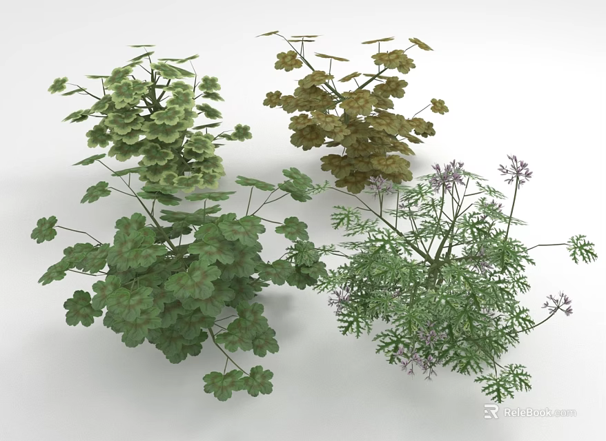 Various Green Plants With Different Leaf Shapes Colors And Herbs In Light Background 3d model 