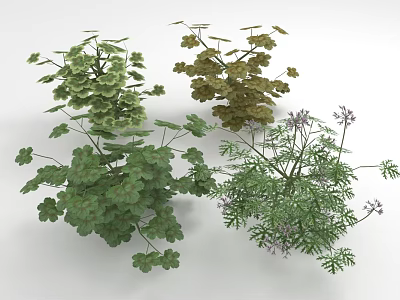 Various Green Plants With Different Leaf Shapes Colors And Herbs In Light Background 3d model