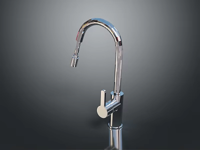 Modern Chrome Kitchen Faucet With Curved Spout And Single Handle Design 3d model