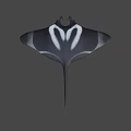 Black and White Manta Ray Featuring Unique Pattern and Long Tail in Blue Water