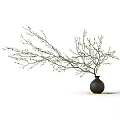 Black Vase With Green Bud Branches On Light Mat White Background 3d model