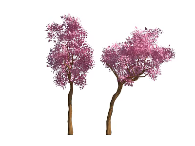 Two Beautiful Flowering Trees with Lush Pink Blossoms and Brown Trunks 3d model