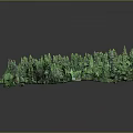 Lush Green Forest Scene With Small Wooden Cabins And Curved Path Surrounded By Trees