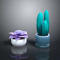 Purple Succulent in White Pot and Green Cactus in Blue Pot for Indoor Decor