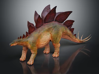 Realistic Stegosaurus Dinosaur Model With Red Plates Spiked Back And Green Brown Body 3d model
