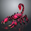 Red Shiny Scorpion With Sharp Claws And Curled Tail On Dark Background