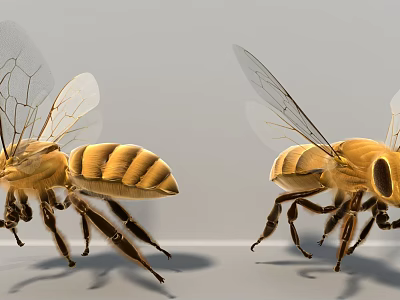 Modern Bees 3d model