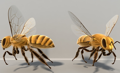 Modern Bees 3d model