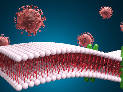 Modern Viruses Virus Infection 3d model