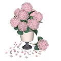 Pink Hydrangea Flowers in White Striped Vase with Dark Base Green Leaves and Fallen Bloom