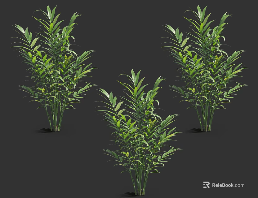Lush Green Bamboo Plants With Fresh Leaves For Indoor Decoration 3d model 