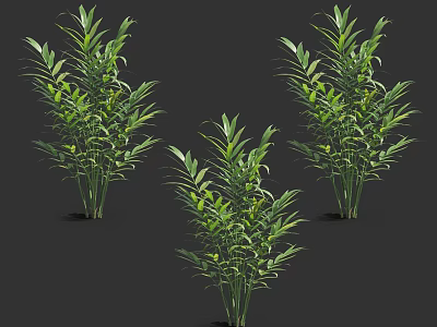 Lush Green Bamboo Plants With Fresh Leaves For Indoor Decoration 3d model